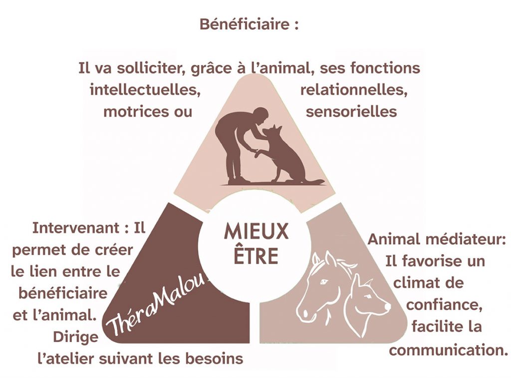 la-relation-triadique-mediation-animal